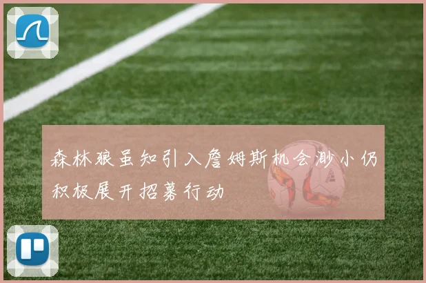 森林狼虽知引入詹姆斯机会渺小仍积极展开招募行动