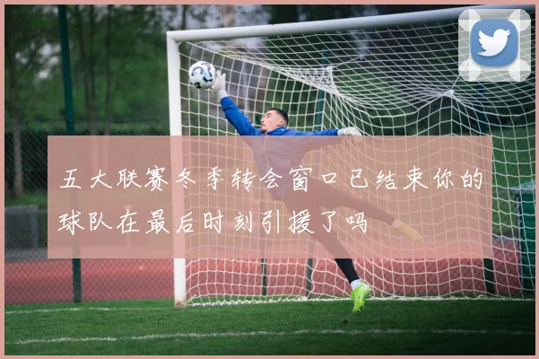 五大联赛冬季转会窗口已结束你的球队在最后时刻引援了吗