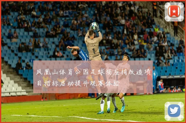 凤凰山体育公园足球场座椅改造项目招标启动提升观赛体验